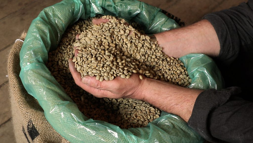 Image of the first burlap bag being opened from the 2019/2020 harvest of Cafe Solar.