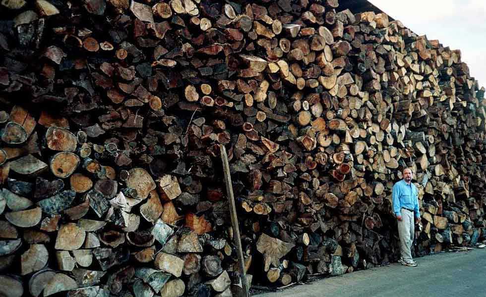 A large woodpile (towering over a person’s head) that represents just a small fraction of the forest wood that is used to cut and dry coffee.