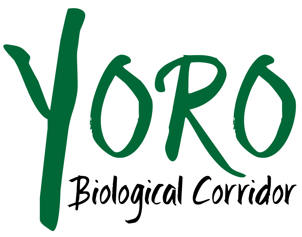 Yoro Biological Corridor Logo